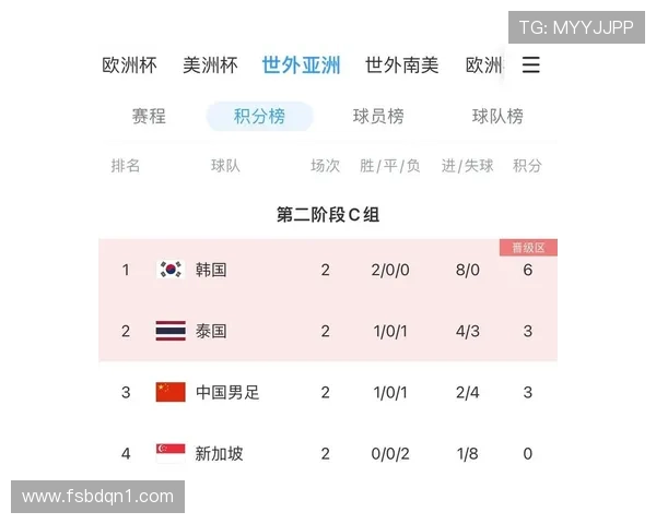 亚洲足球强队出炉八支球队直通世界杯两队争夺最后名额